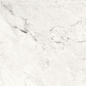 AESTHETICA - Fondo - 120x120